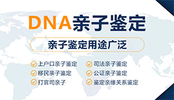 黑龙江省DNA亲子鉴定机构在哪(2024更新)