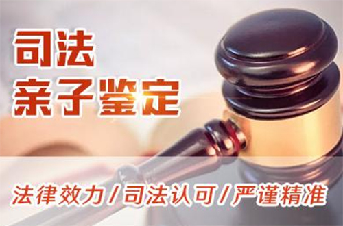 黑龙江省司法DNA鉴定如何办理,黑龙江省司法亲子鉴定多少钱的费用