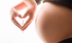 黑龙江省如何办理怀孕亲子鉴定