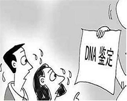 黑龙江省中医院能做DNA亲子鉴定吗，黑龙江省医院办理DNA亲子鉴定服务详解